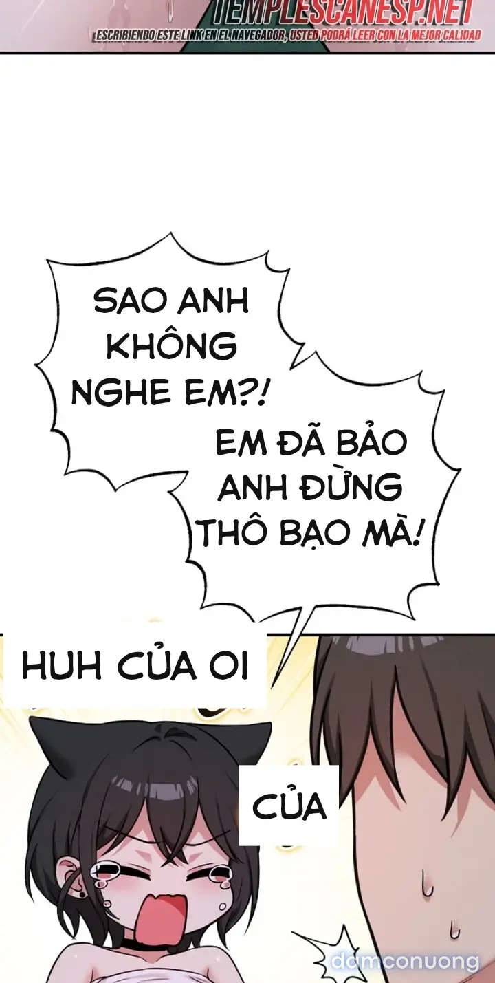 Trò chơi cờ bàn thú vị: 