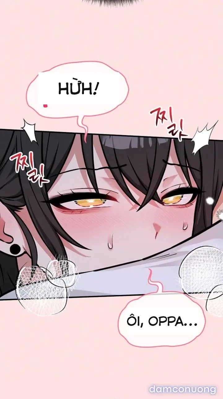Trò chơi cờ bàn thú vị: 