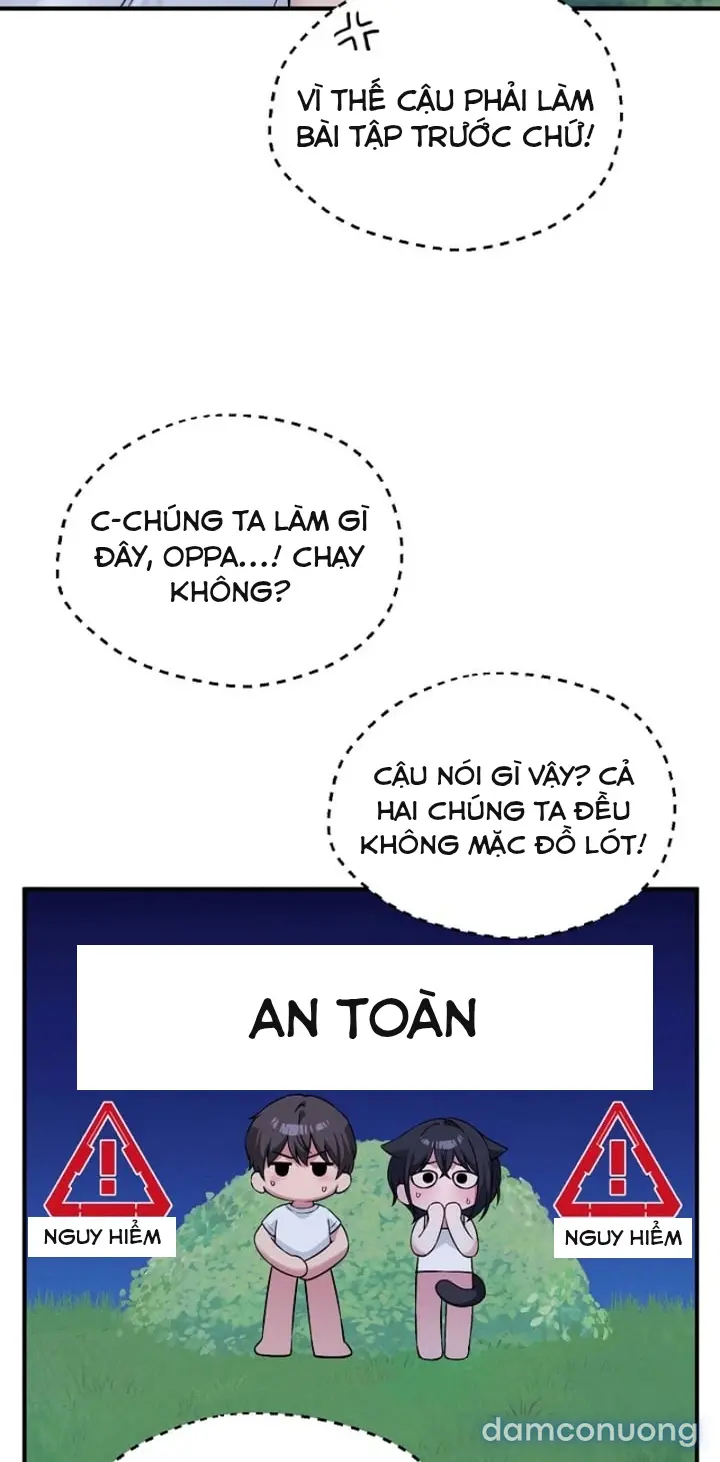 Trò chơi cờ bàn thú vị: 