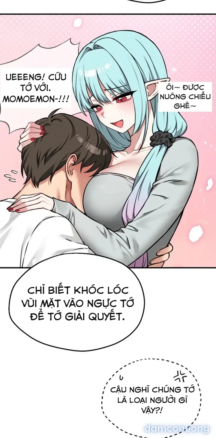 Trò chơi cờ bàn thú vị: 
