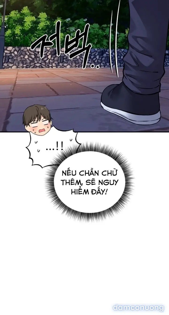Trò chơi cờ bàn thú vị: 