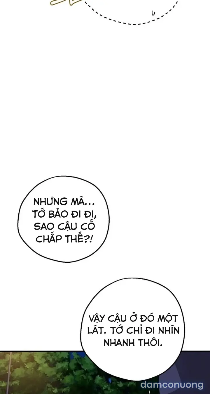 Trò chơi cờ bàn thú vị: 