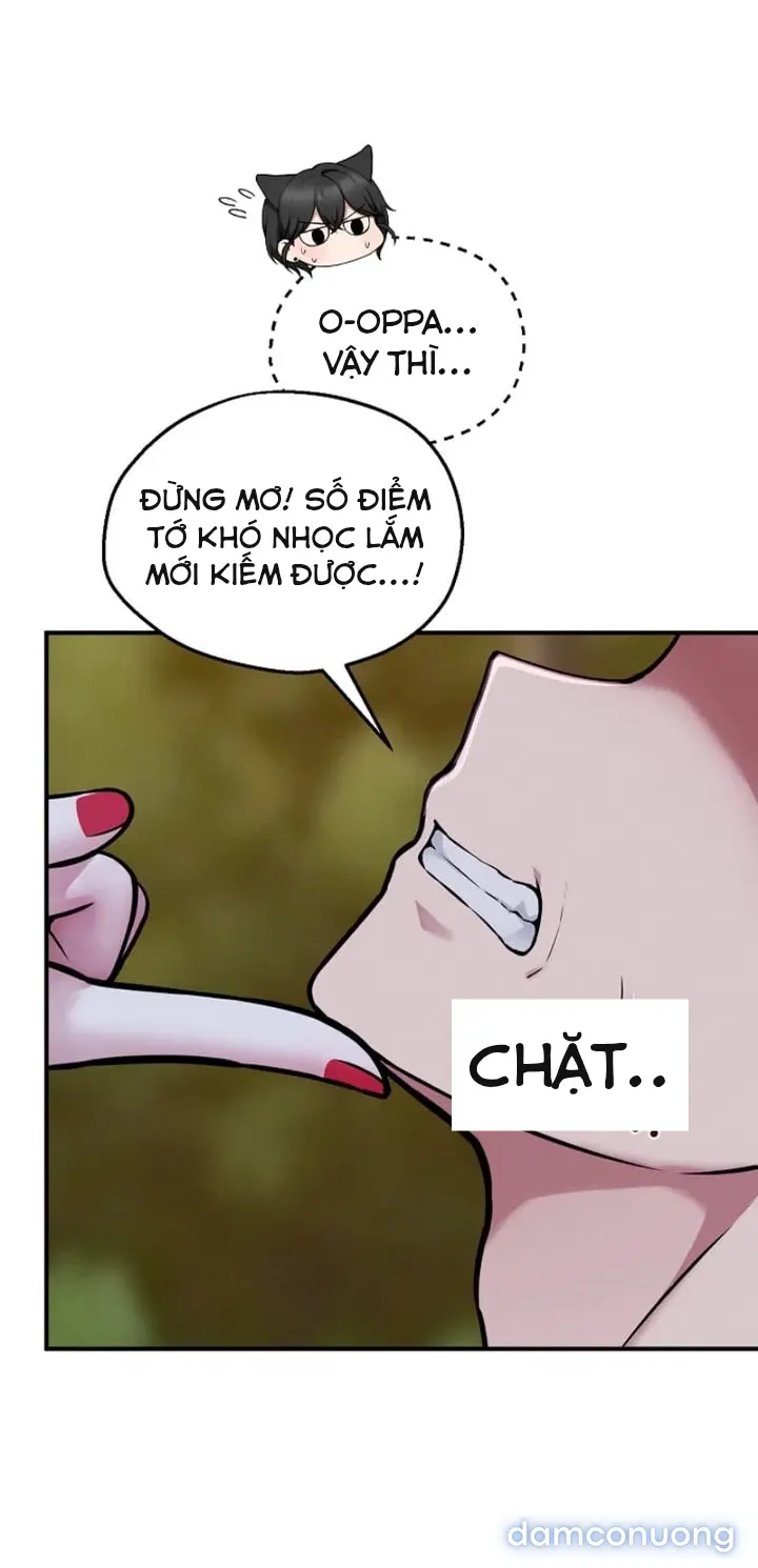 Trò chơi cờ bàn thú vị: 