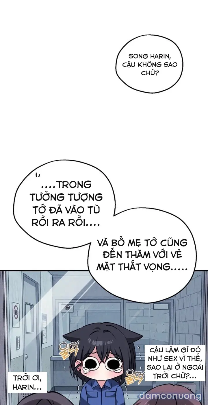 Trò chơi cờ bàn thú vị: 