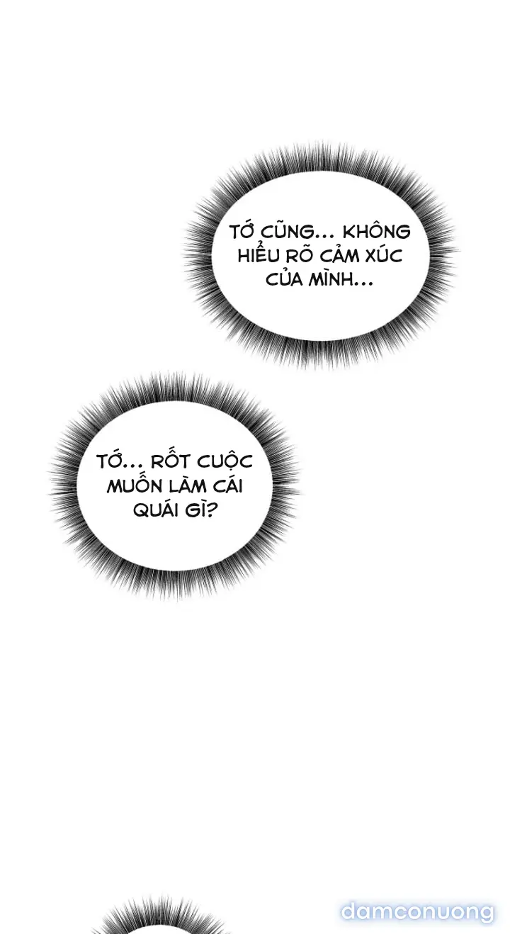 Trò chơi cờ bàn thú vị: 