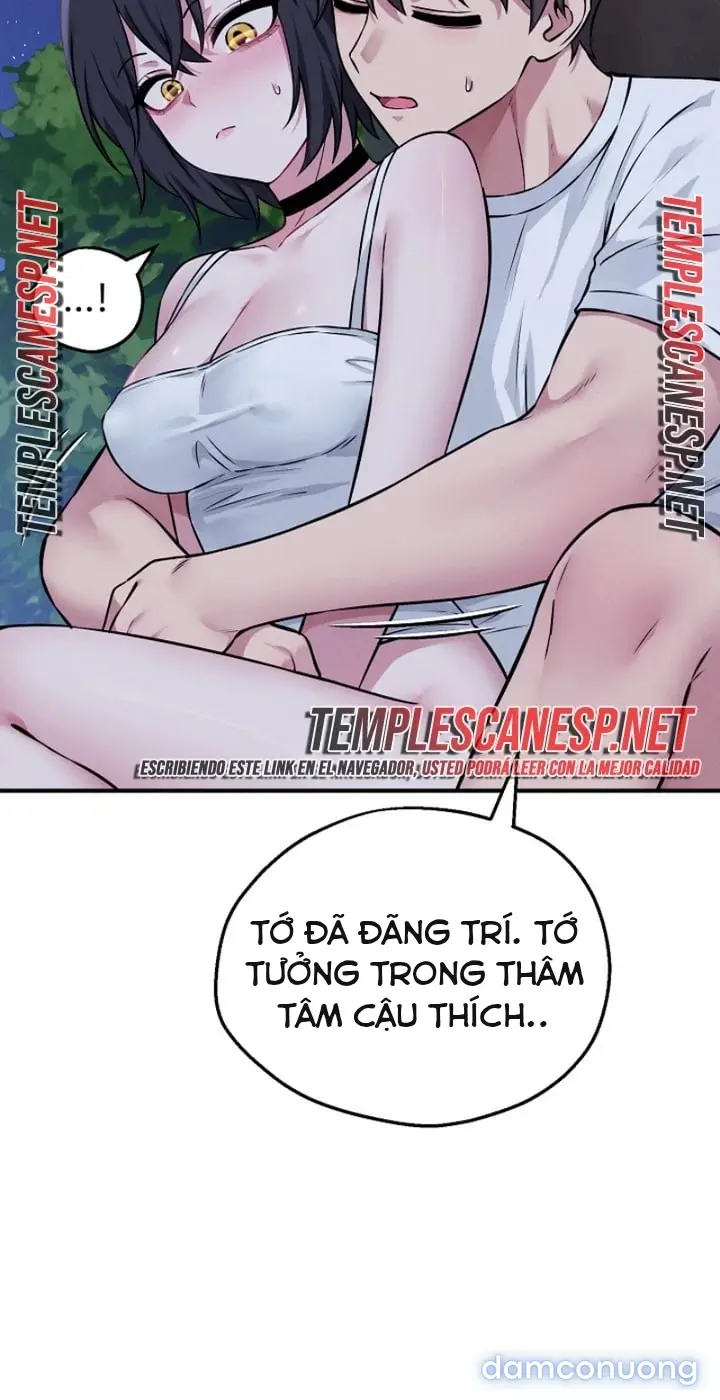 Trò chơi cờ bàn thú vị: 