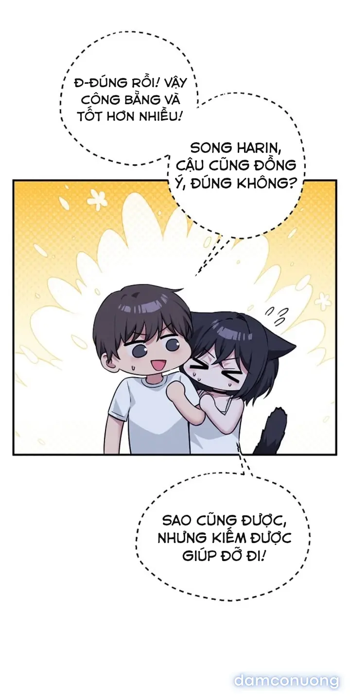 Trò chơi cờ bàn thú vị: 