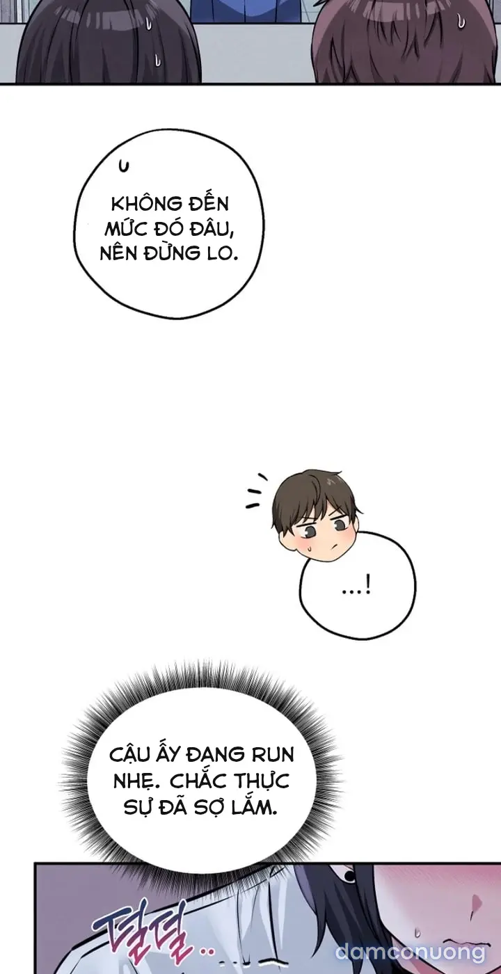 Trò chơi cờ bàn thú vị: 