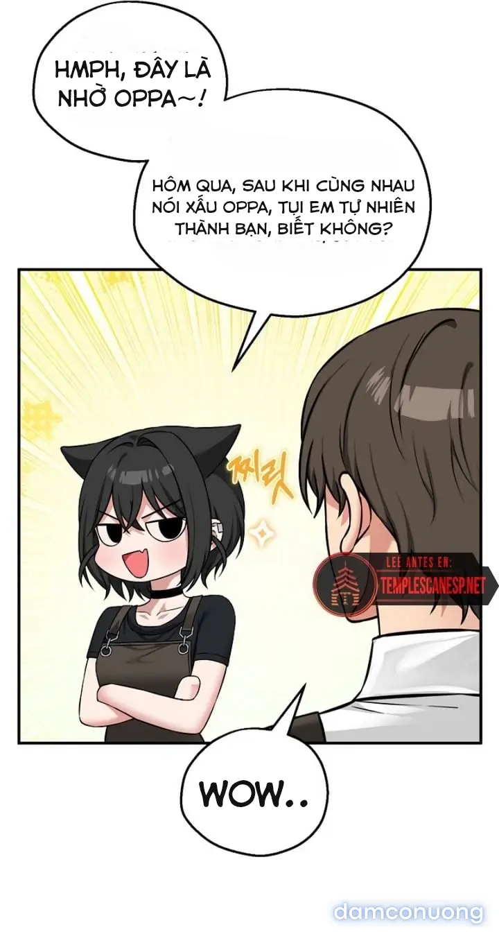 Trò chơi cờ bàn thú vị: 
