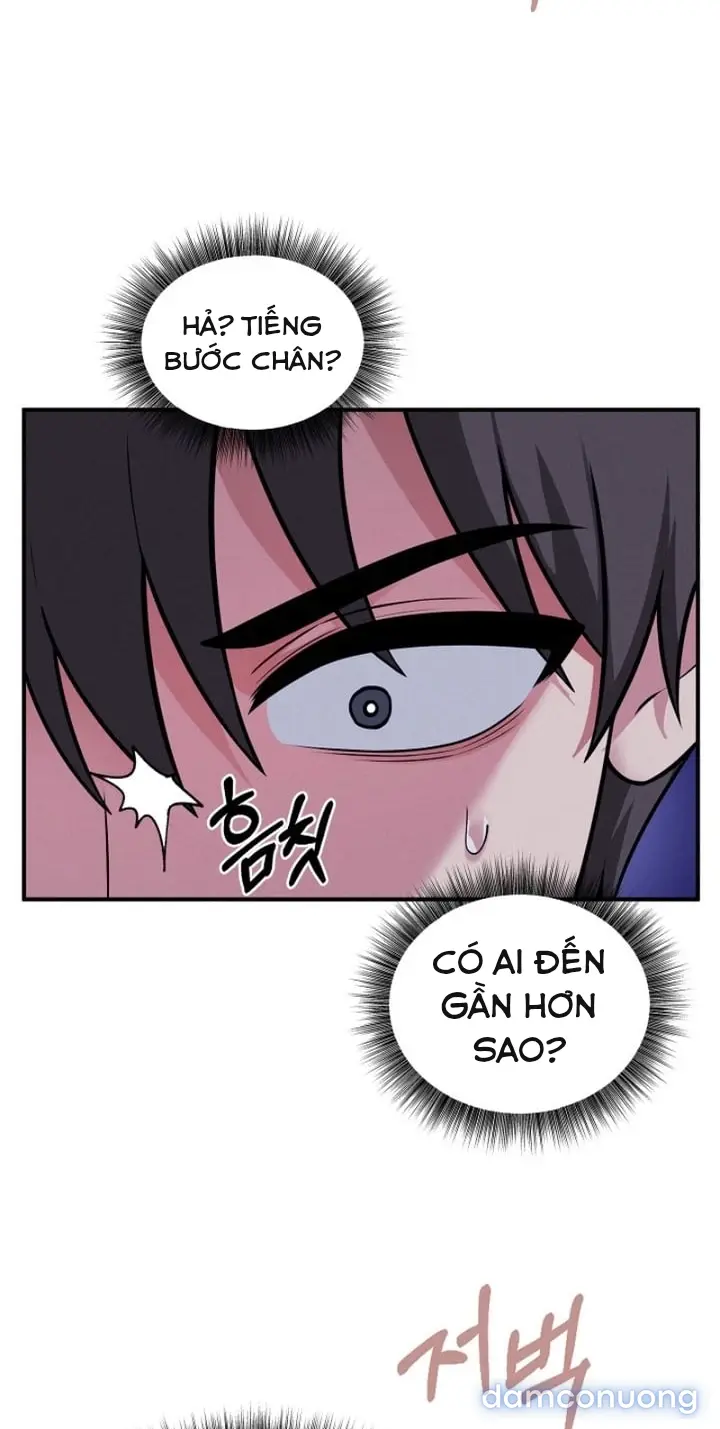 Trò chơi cờ bàn thú vị: 