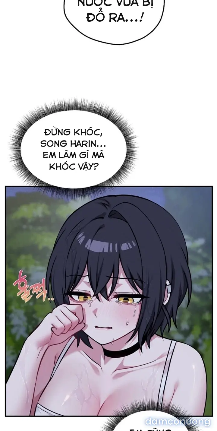 Trò chơi cờ bàn thú vị: 