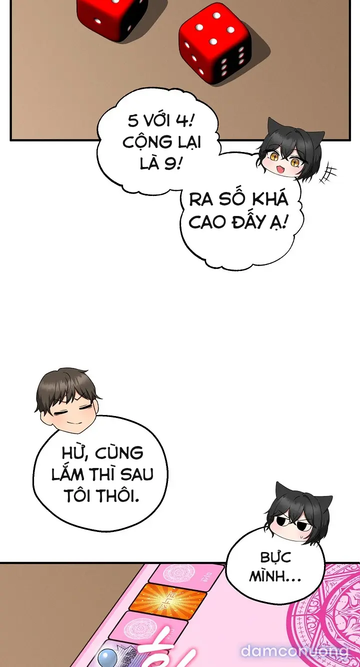 Trò chơi cờ bàn thú vị: 
