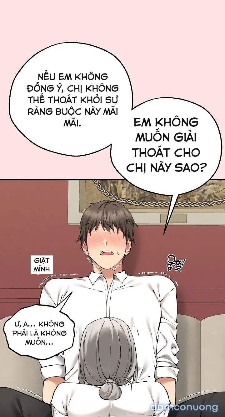 Trò chơi cờ bàn thú vị: 