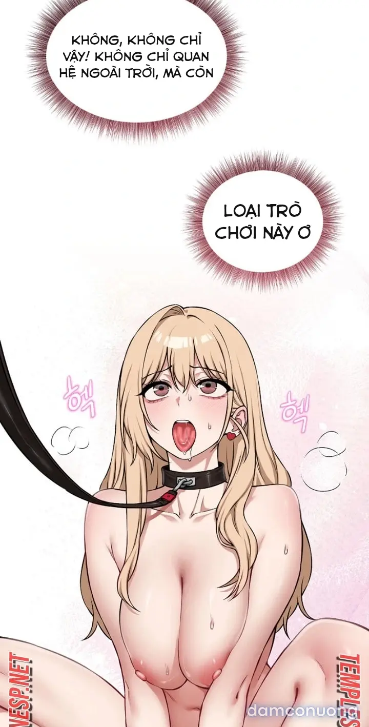 Trò chơi cờ bàn thú vị: 