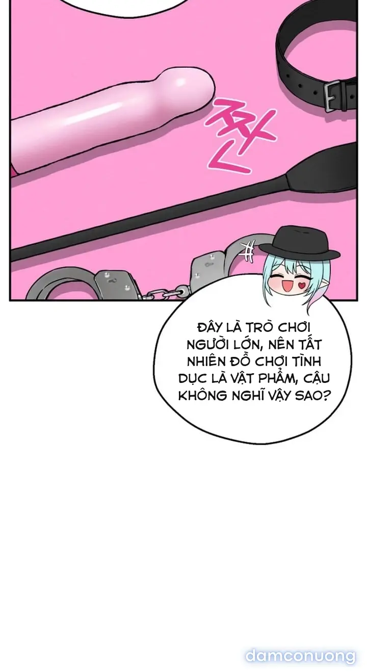 Trò chơi cờ bàn thú vị: 
