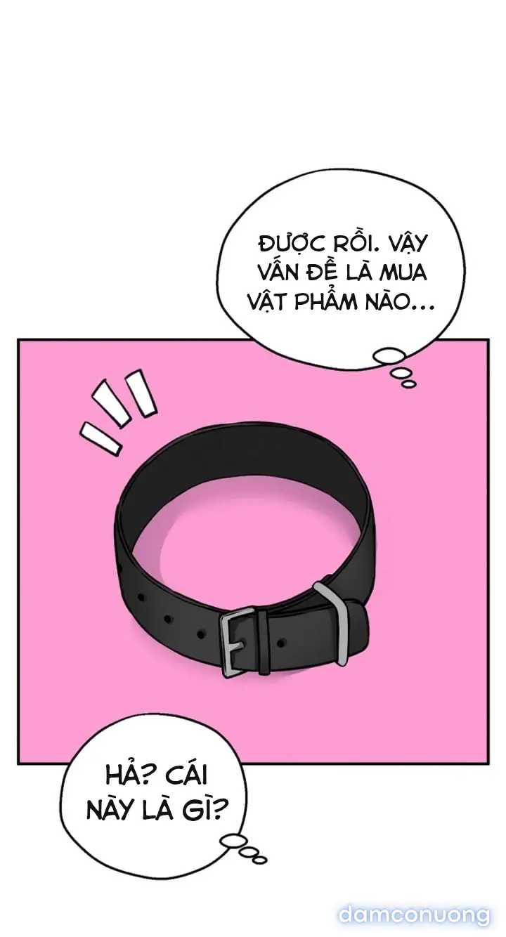 Trò chơi cờ bàn thú vị: 