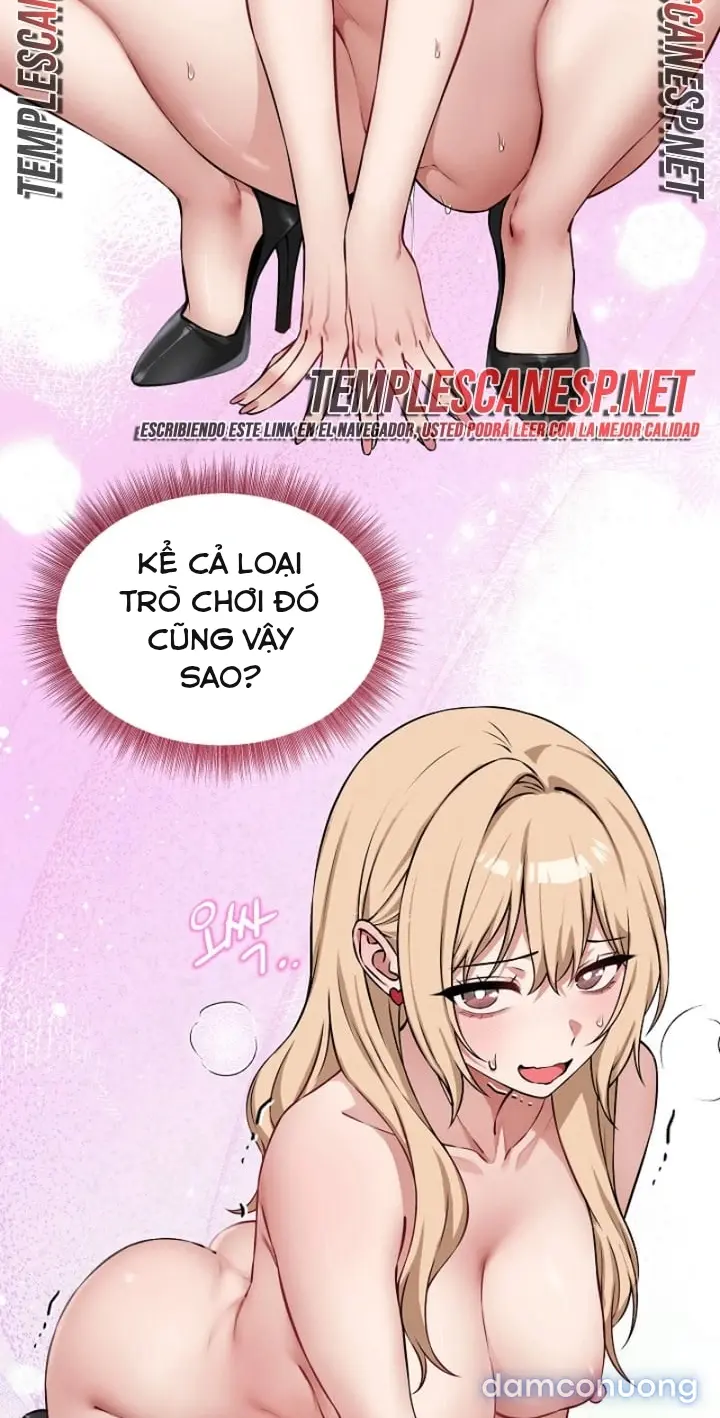 Trò chơi cờ bàn thú vị: 