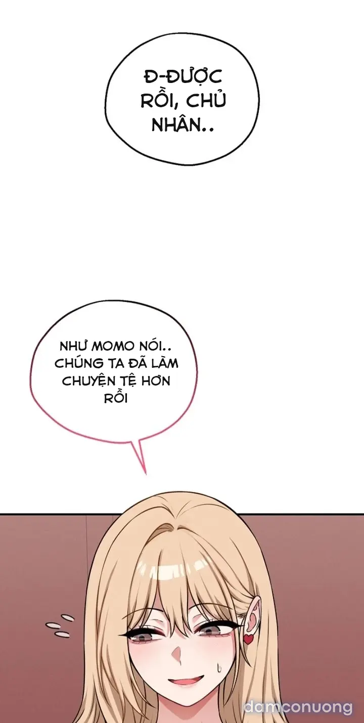 Trò chơi cờ bàn thú vị: 