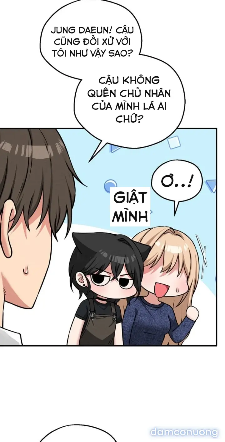 Trò chơi cờ bàn thú vị: 