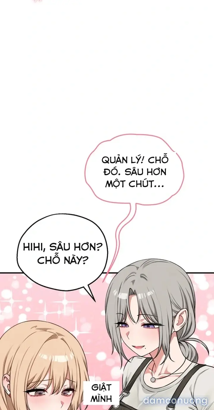 Trò chơi cờ bàn thú vị: 