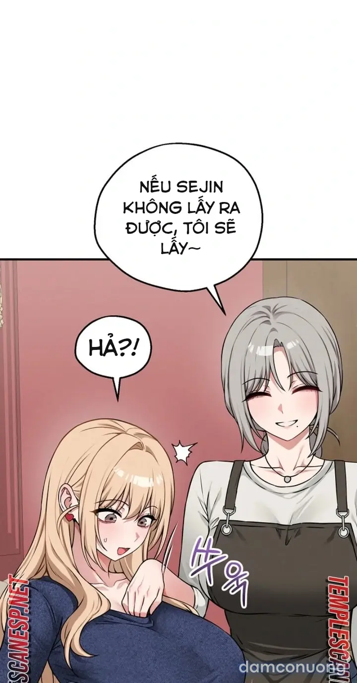 Trò chơi cờ bàn thú vị: 