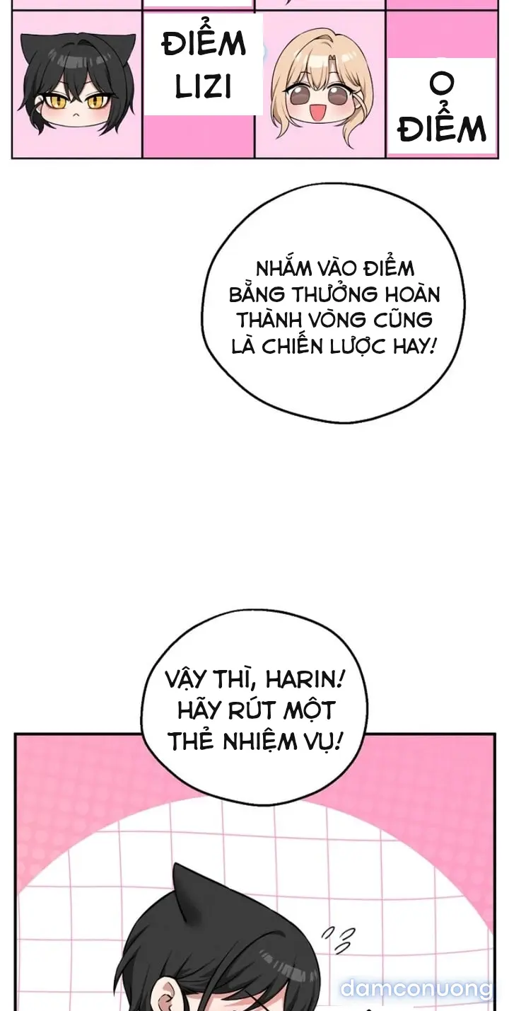 Trò chơi cờ bàn thú vị: 