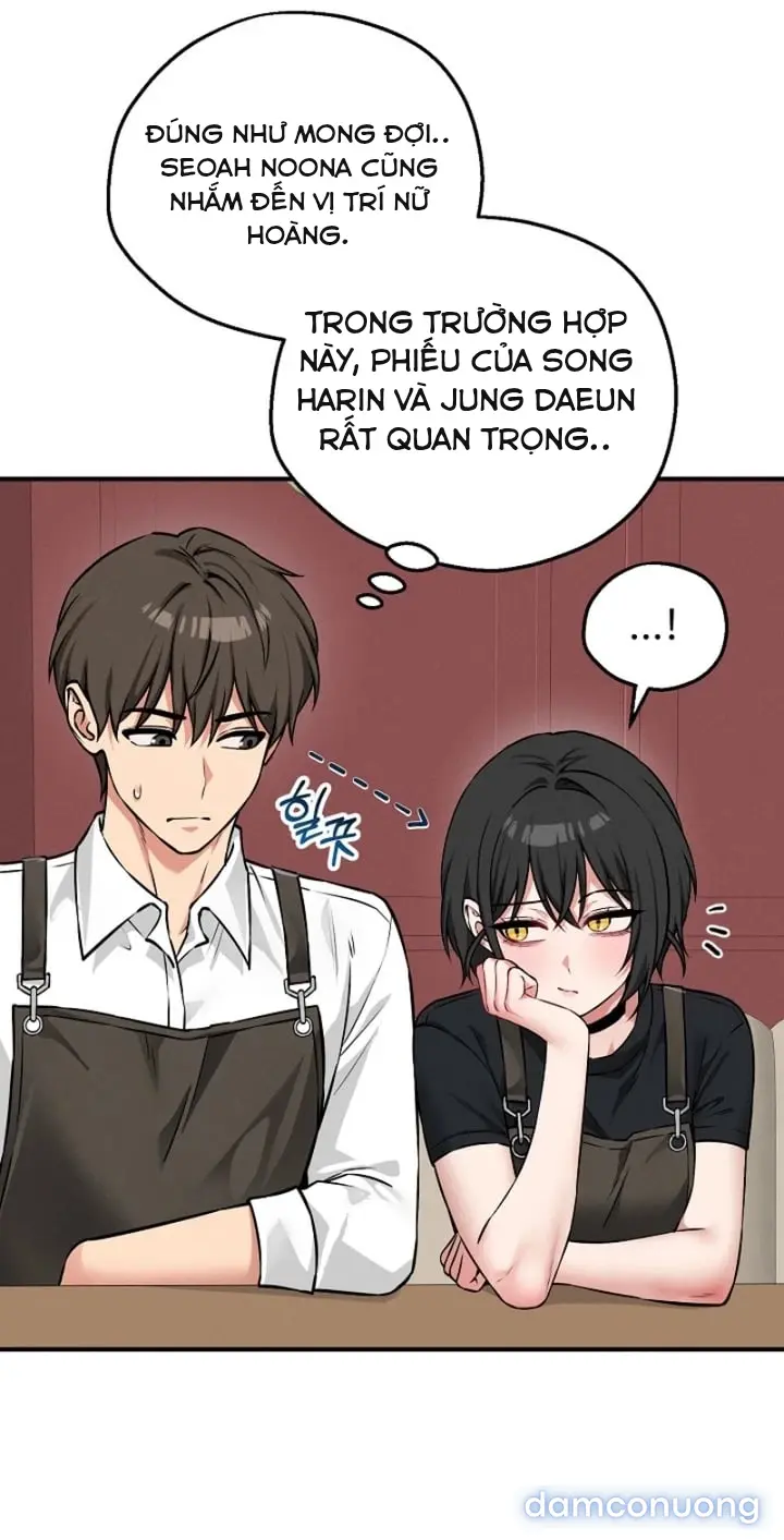 Trò chơi cờ bàn thú vị: 