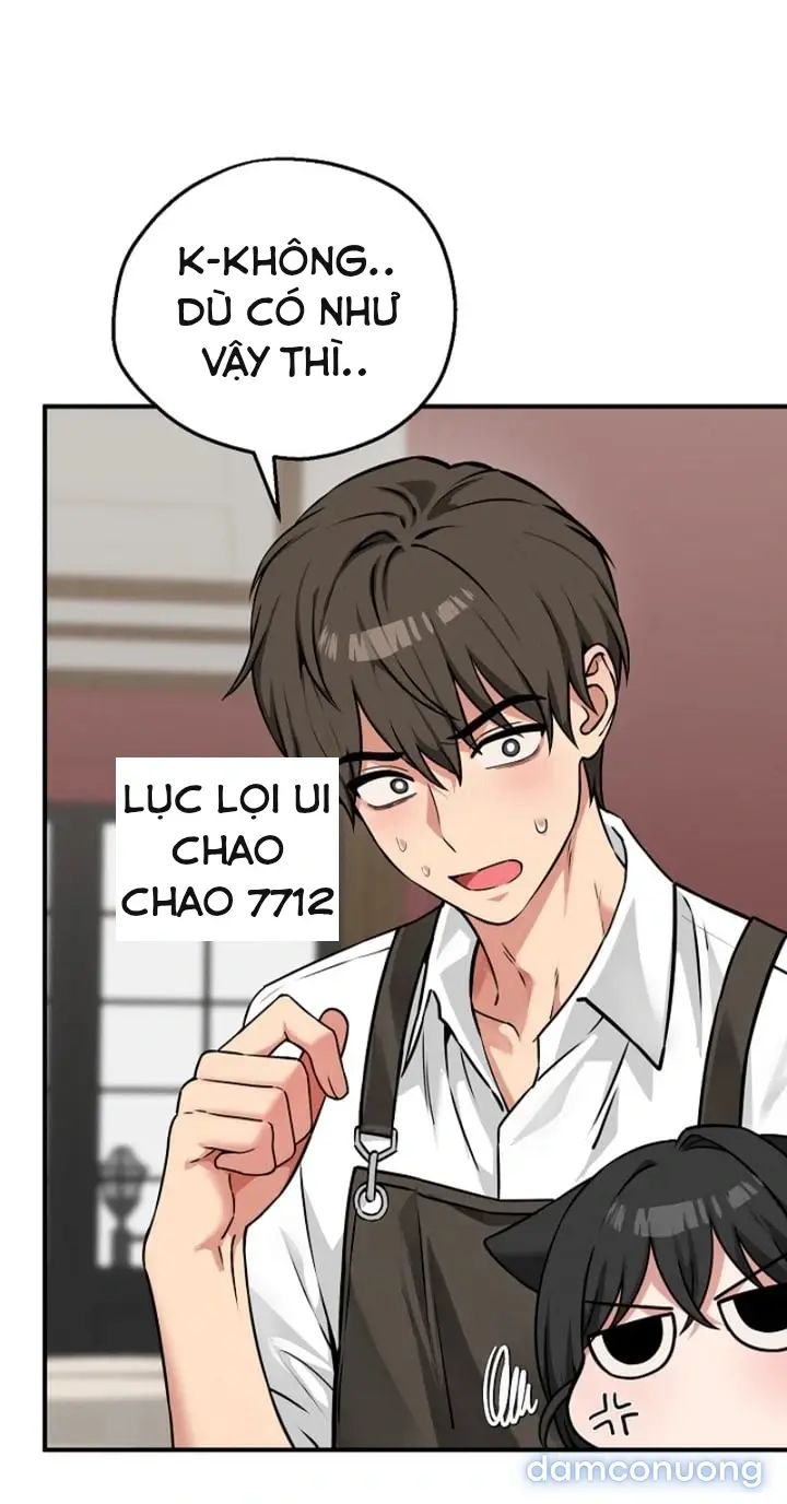 Trò chơi cờ bàn thú vị: 