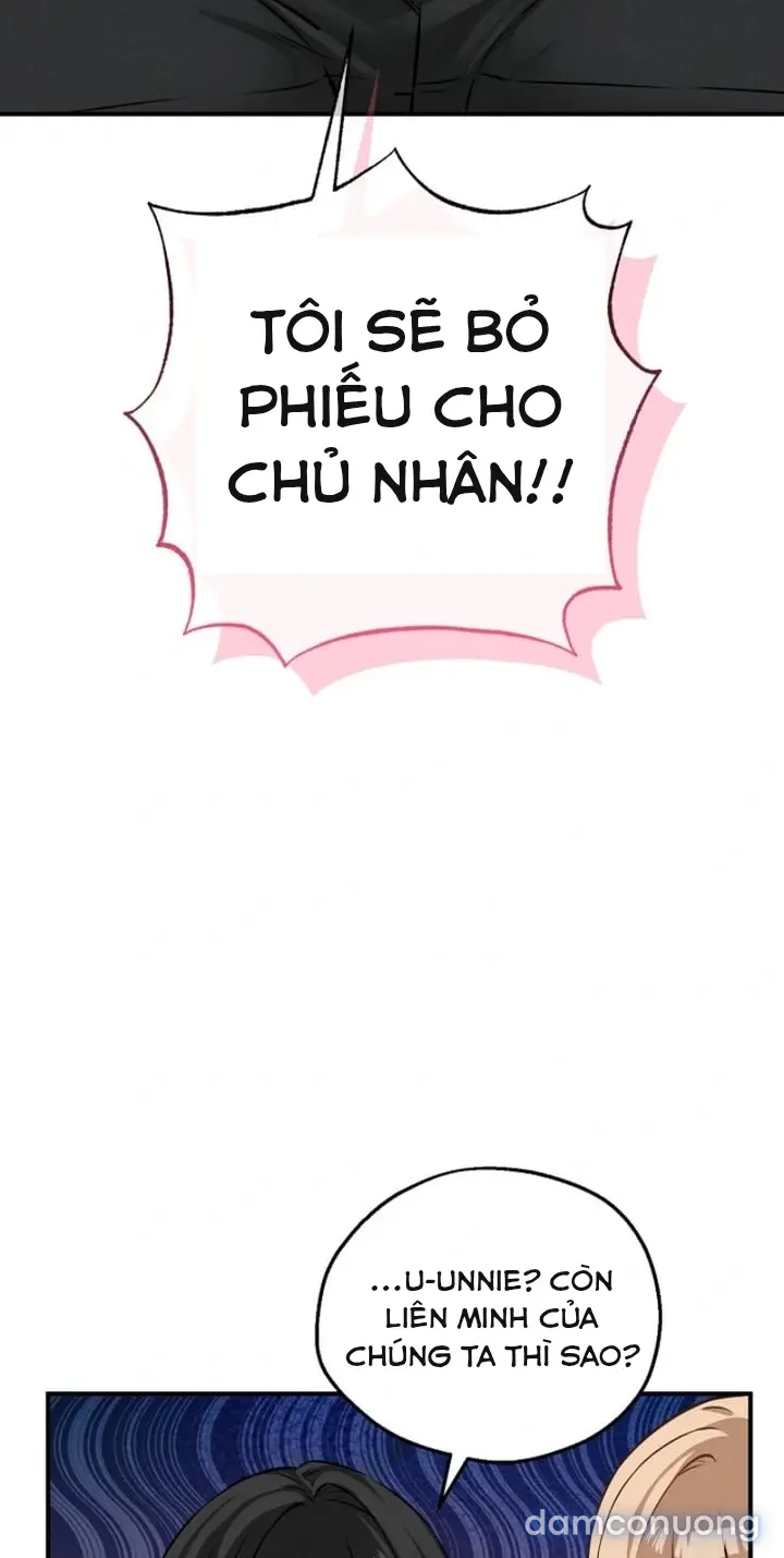 Trò chơi cờ bàn thú vị: 