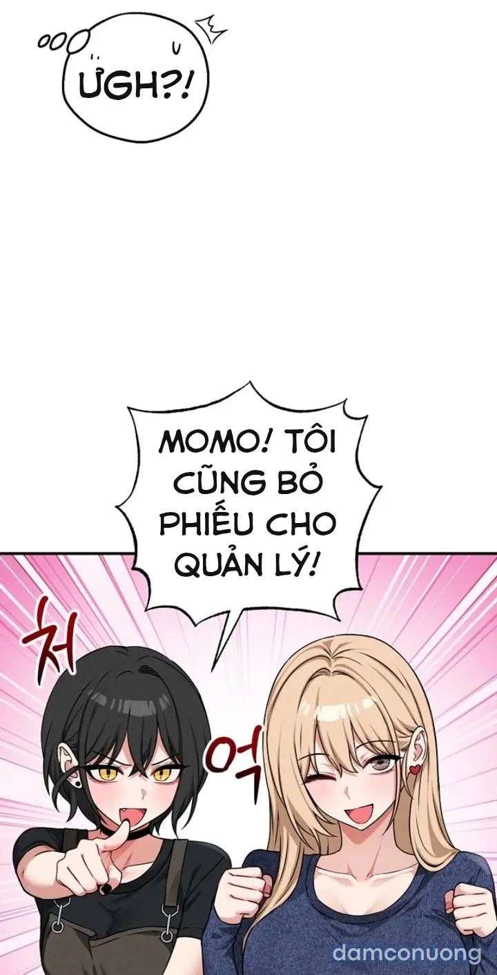 Trò chơi cờ bàn thú vị: 