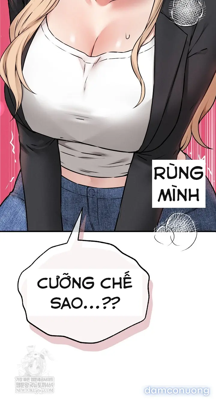 Trò chơi cờ bàn thú vị: 