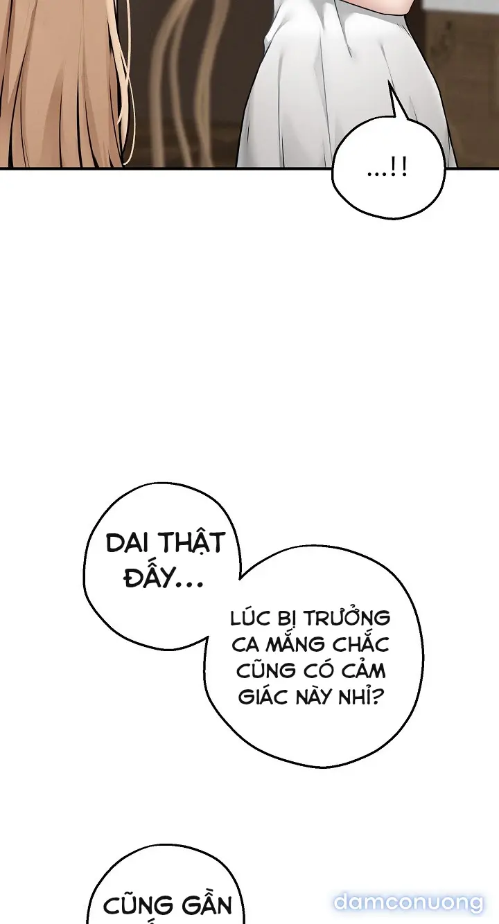Trò chơi cờ bàn thú vị: 