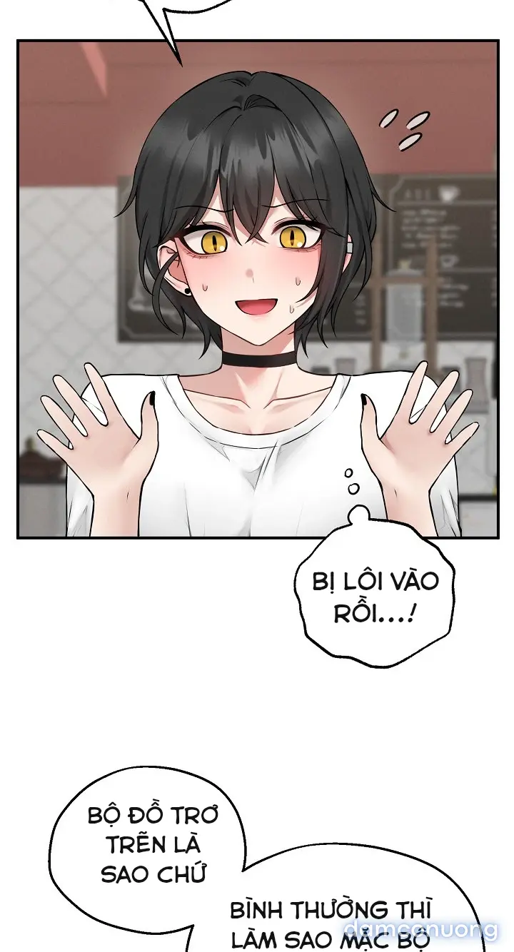 Trò chơi cờ bàn thú vị: 