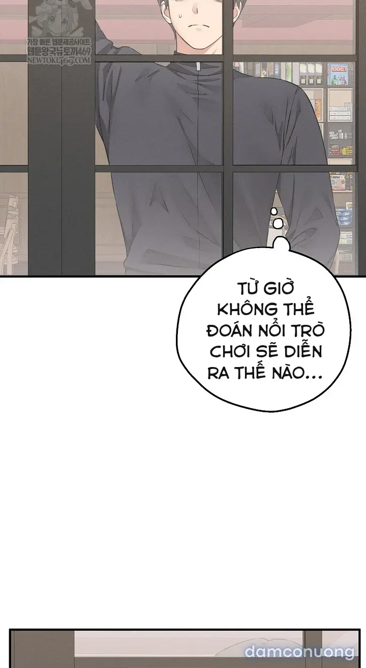 Trò chơi cờ bàn thú vị: 