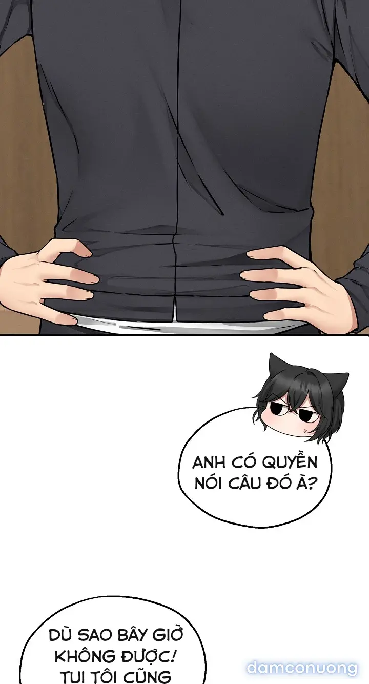 Trò chơi cờ bàn thú vị: 