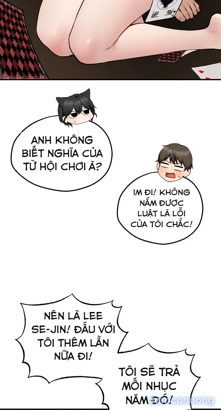 Trò chơi cờ bàn thú vị: 