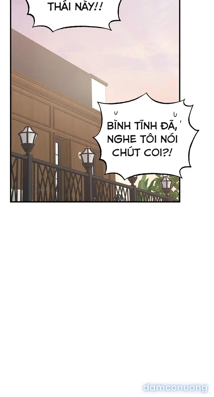 Trò chơi cờ bàn thú vị: 