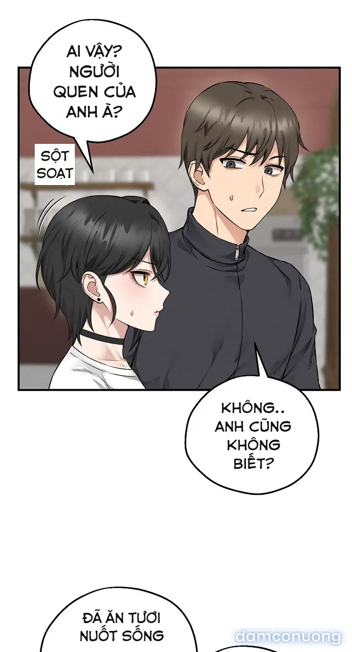 Trò chơi cờ bàn thú vị: 