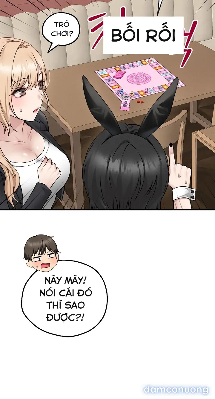 Trò chơi cờ bàn thú vị: 