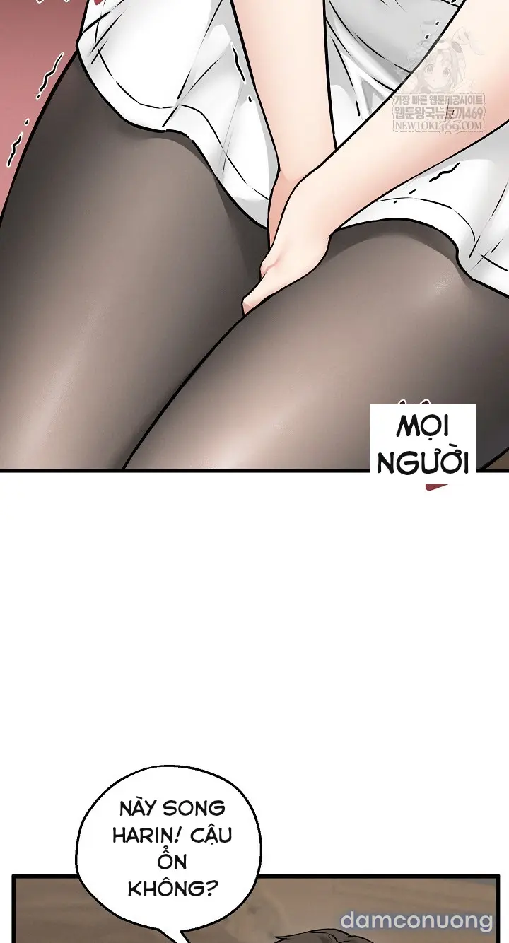 Trò chơi cờ bàn thú vị: 
