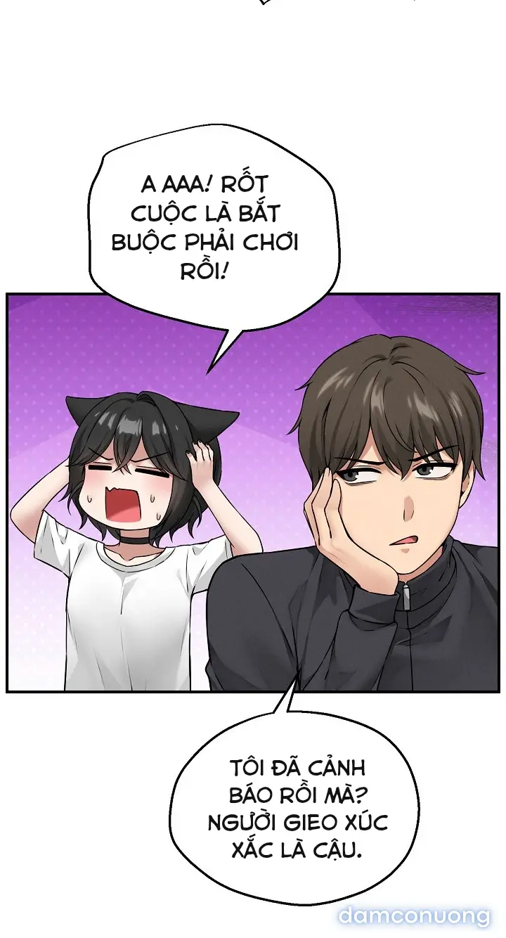 Trò chơi cờ bàn thú vị: 