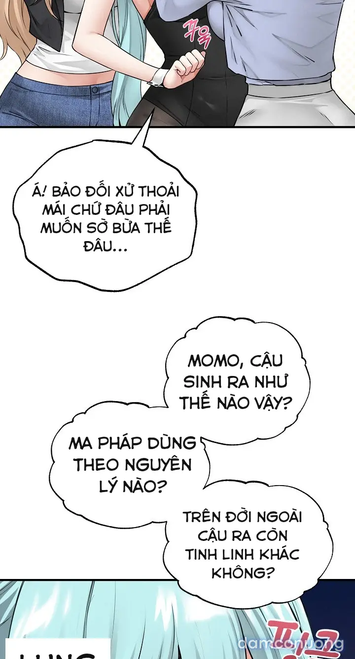 Trò chơi cờ bàn thú vị: 