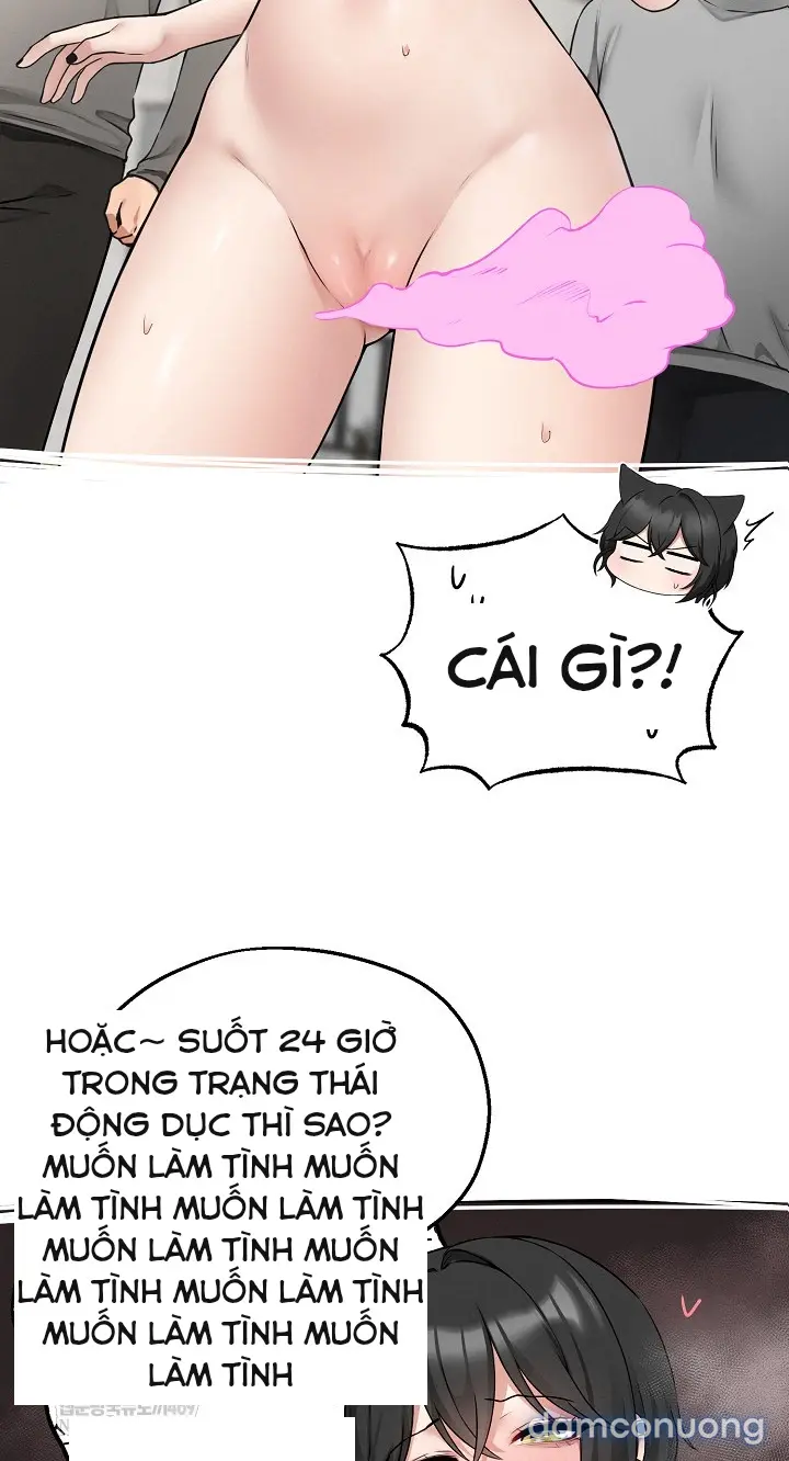 Trò chơi cờ bàn thú vị: 