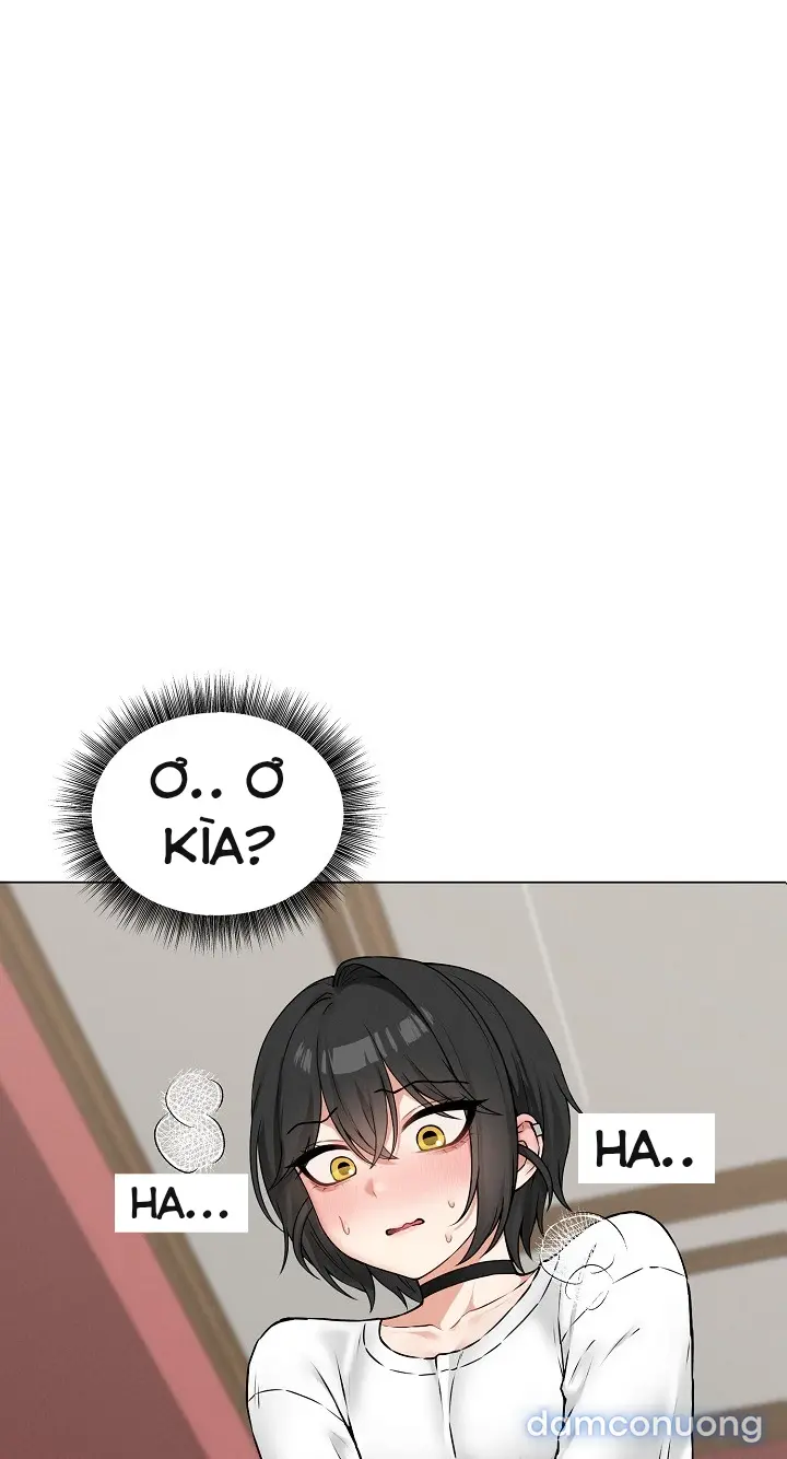 Trò chơi cờ bàn thú vị: 