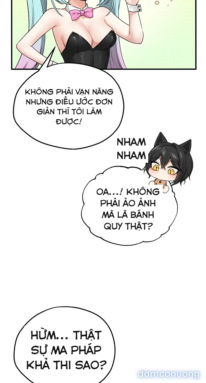 Trò chơi cờ bàn thú vị: 