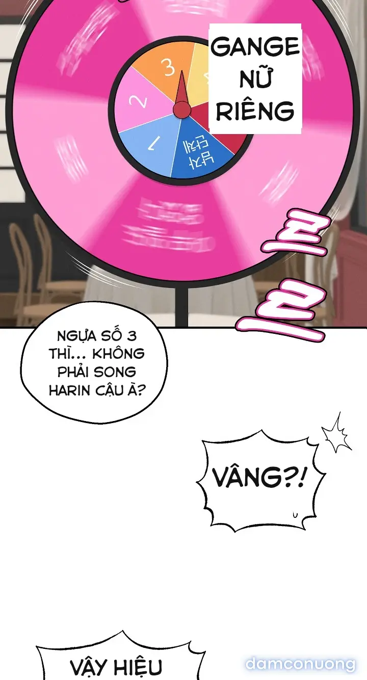 Trò chơi cờ bàn thú vị: 