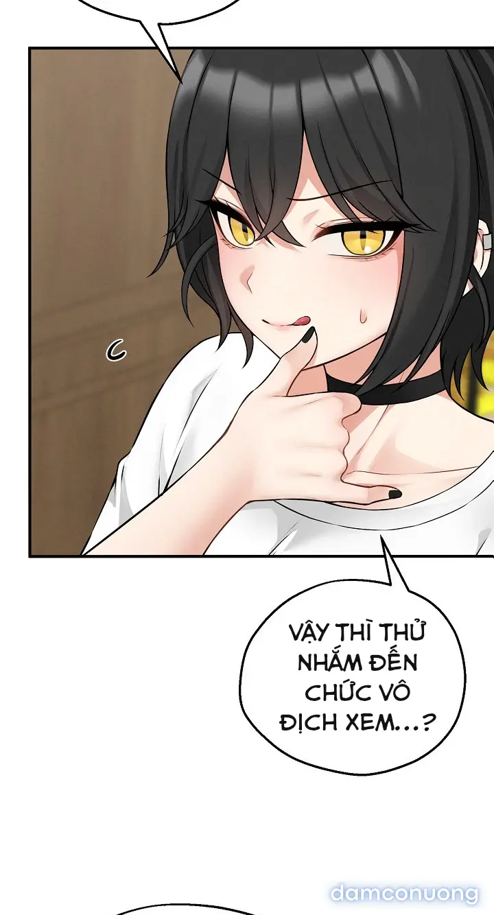 Trò chơi cờ bàn thú vị: 