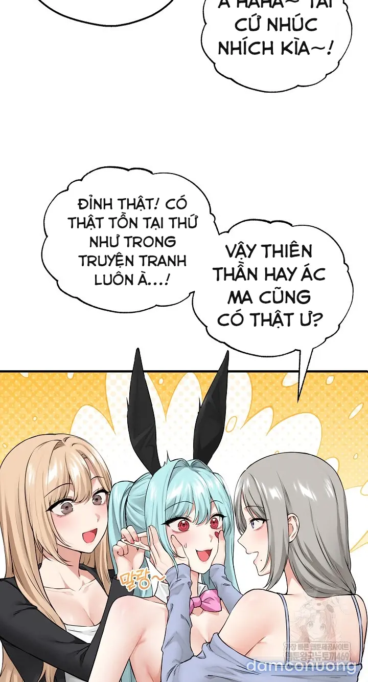 Trò chơi cờ bàn thú vị: 
