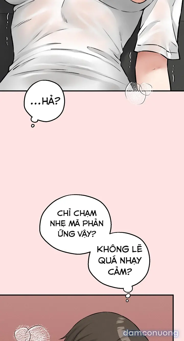 Trò chơi cờ bàn thú vị: 