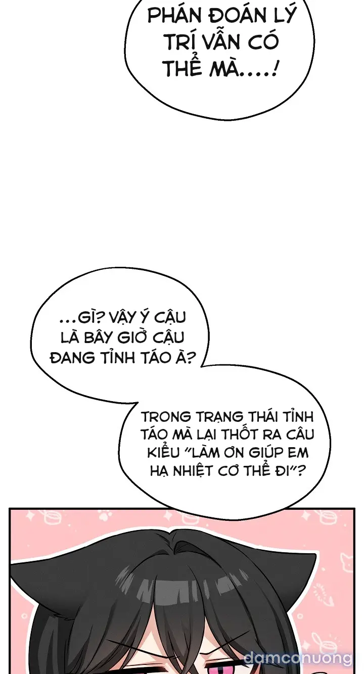 Trò chơi cờ bàn thú vị: 